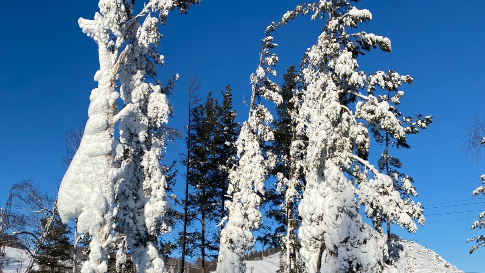 Елены Колоколовой. «Общественная электронная газета».