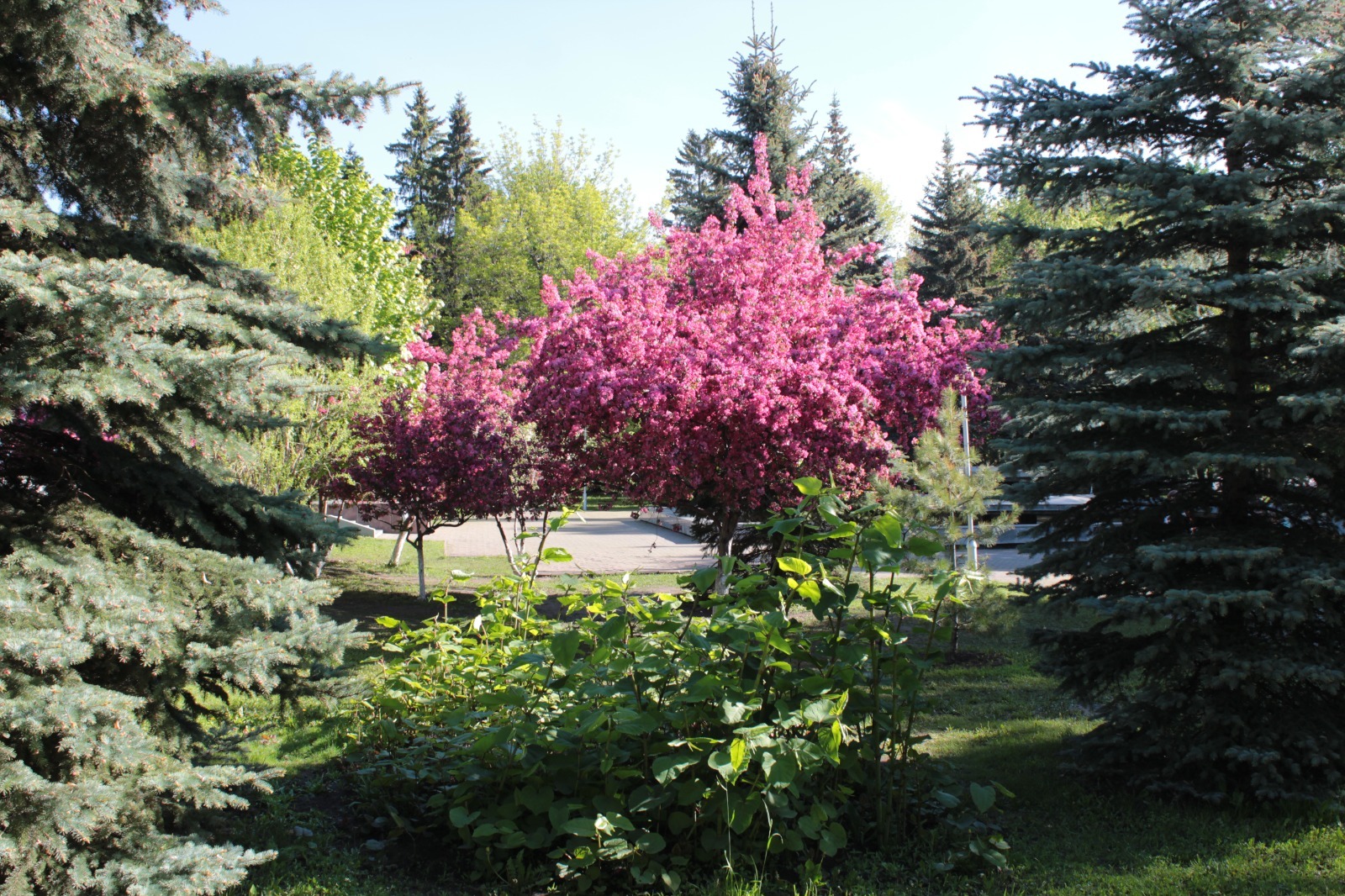 Дарьи Святохиной.