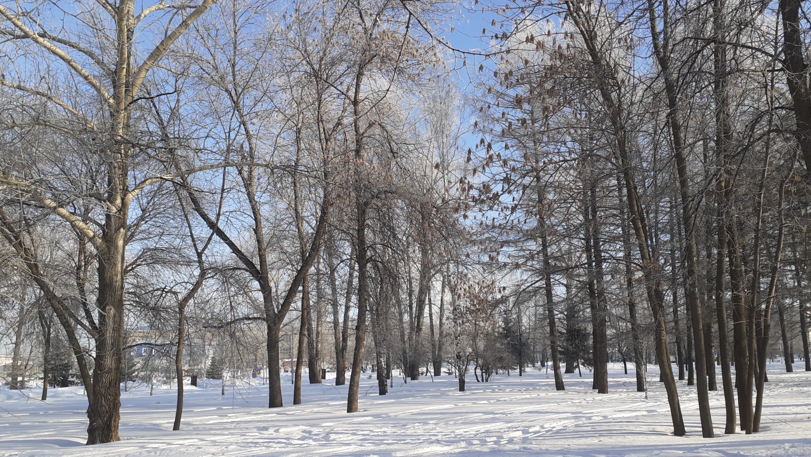 Владимира Шакиева.