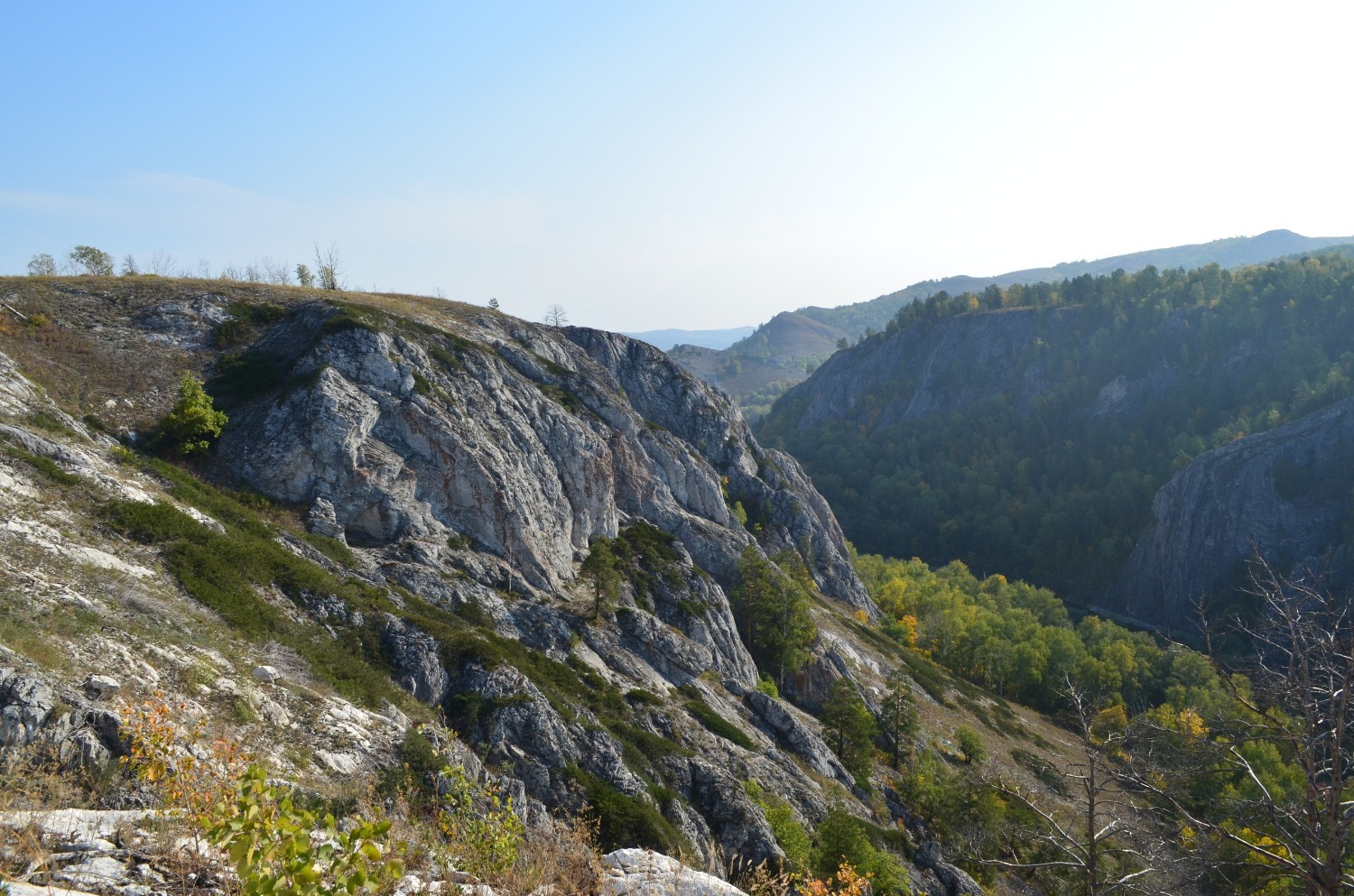 Владимира Шакиева.