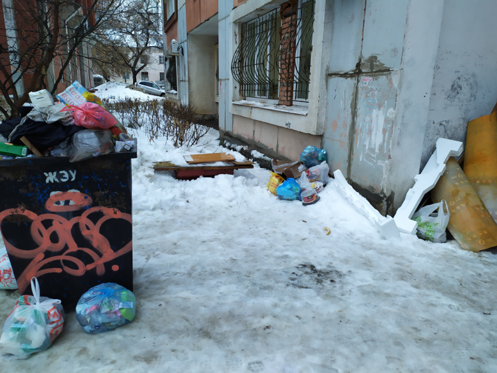 Фото Васили Саитовой.