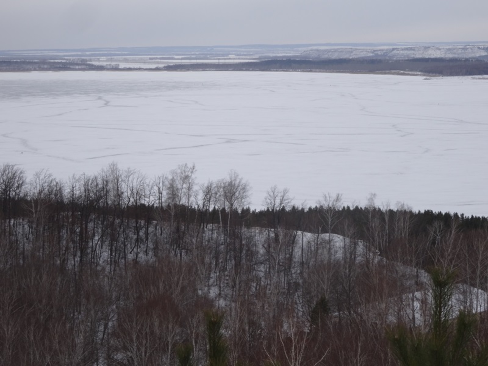 Фото Елены Колоколовой.