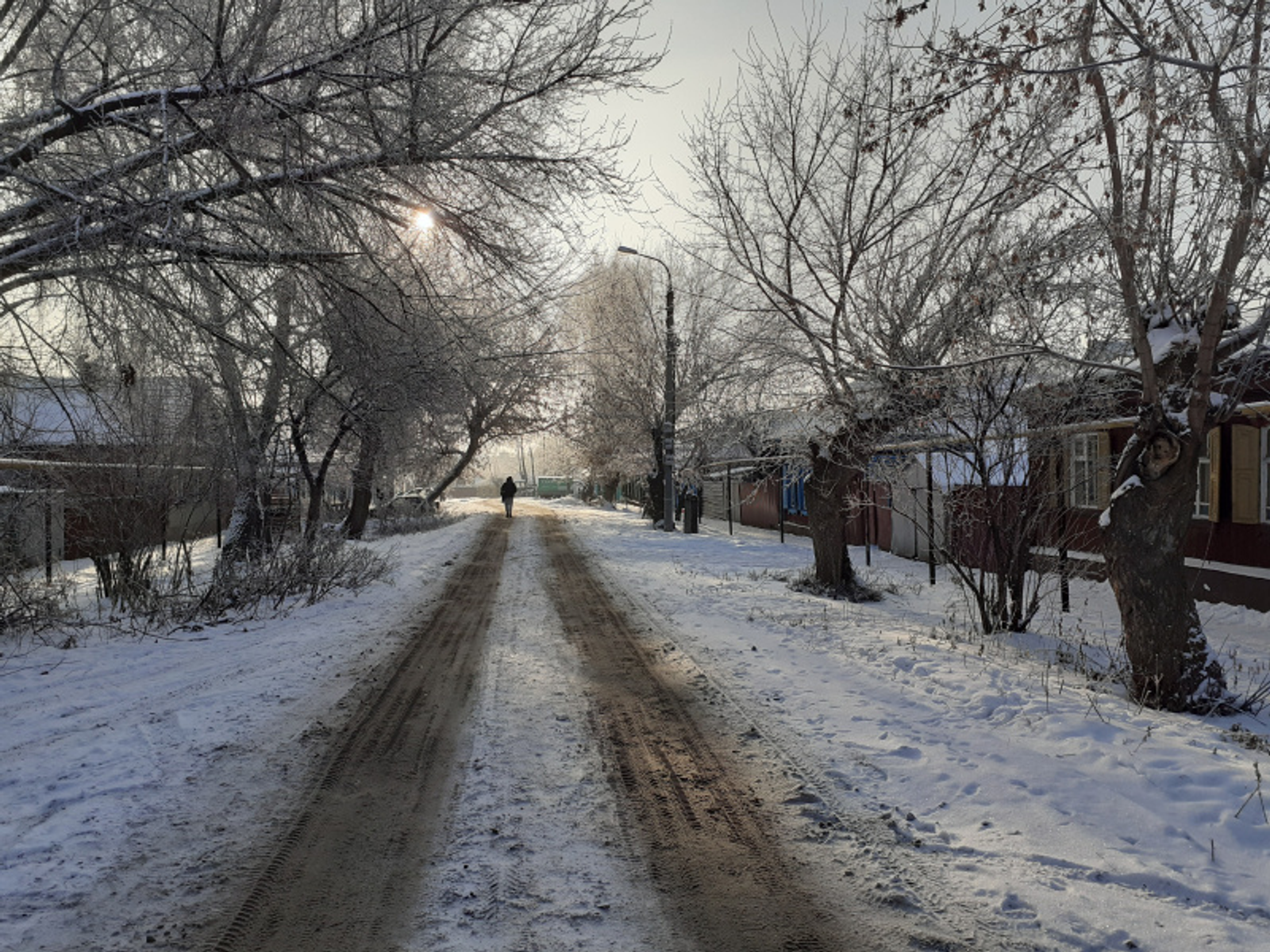 Фото автора.