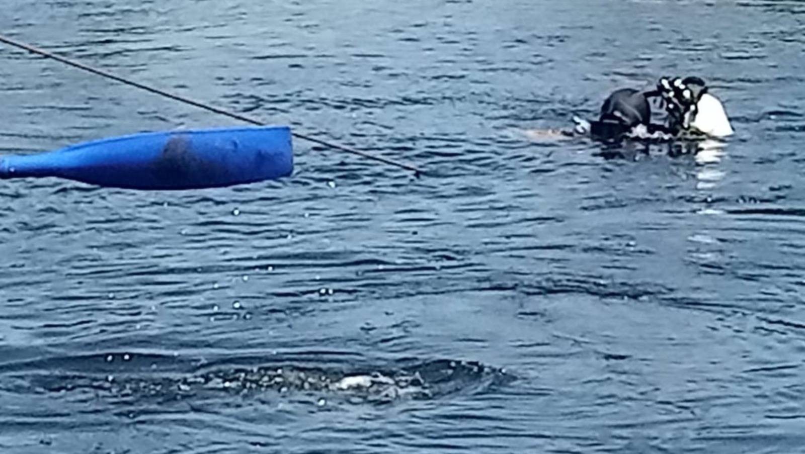 предоставлено пресс-службой Госкомитета РБ по ЧС.