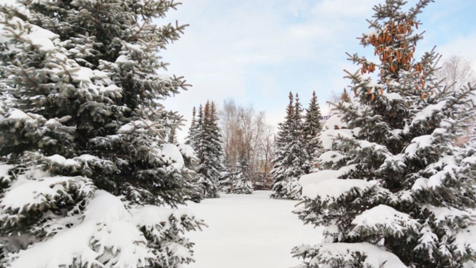 Дарьи Святохиной.