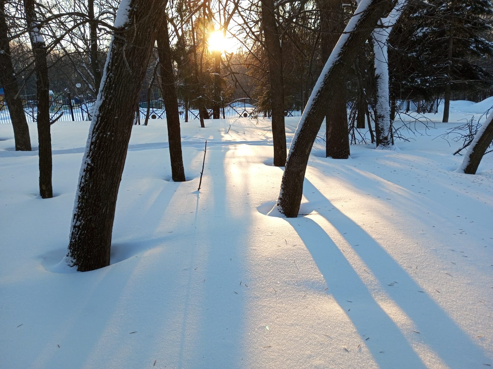 Евгении Сюткиной.