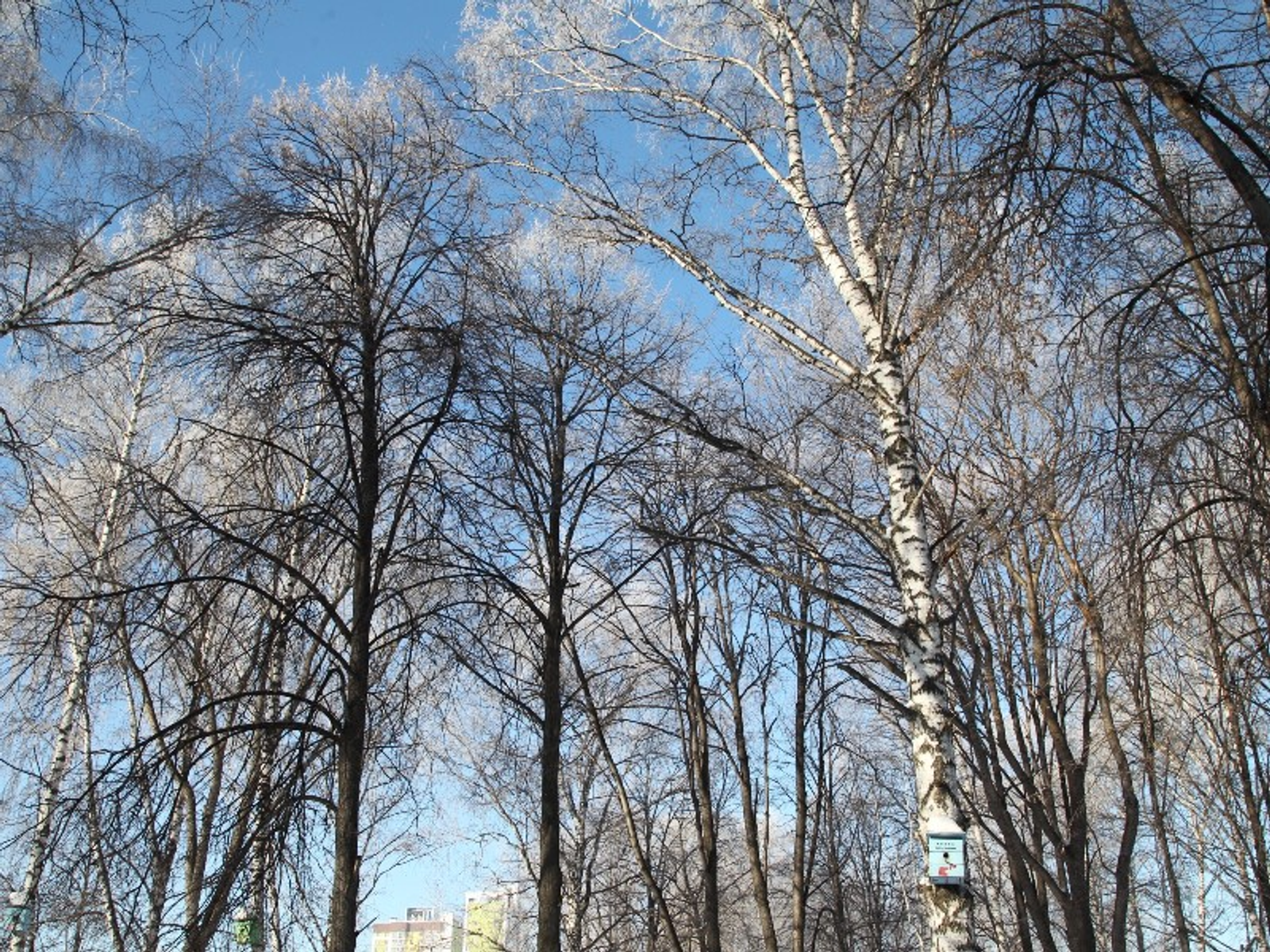 Фото Олега Яровикова.