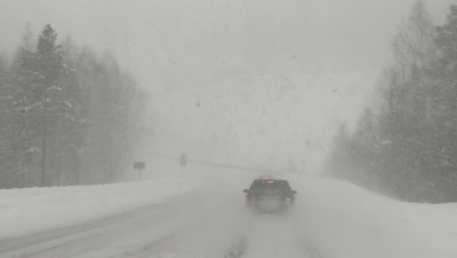 Елены Колоколовой.