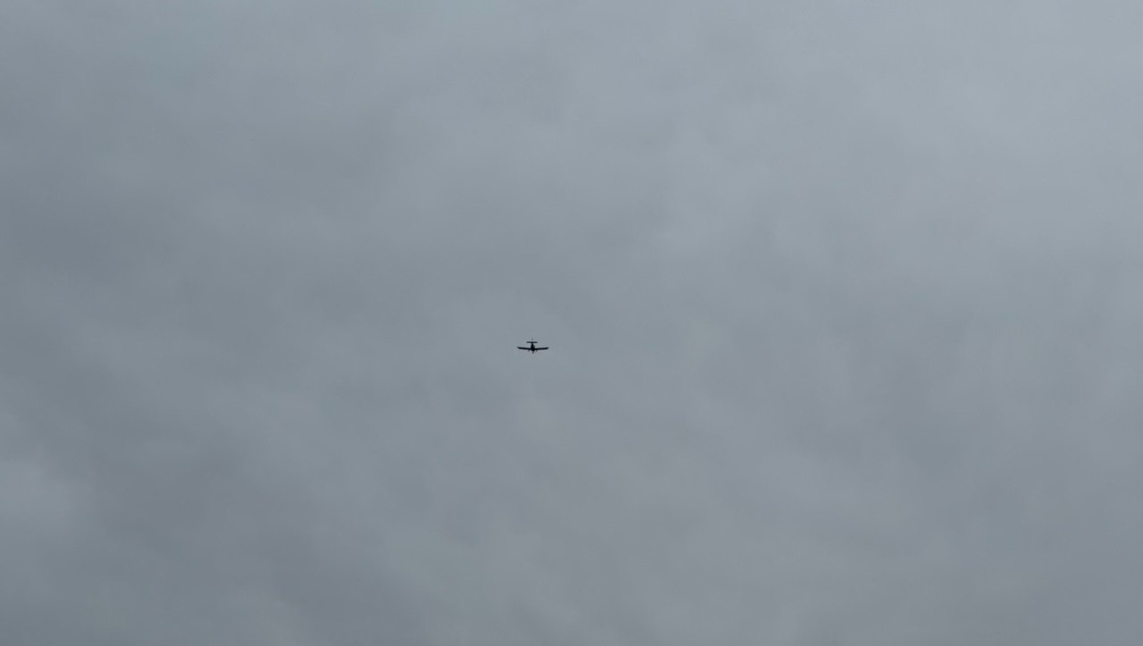 Елены Колоколовой.  «Общественная электронная газета».