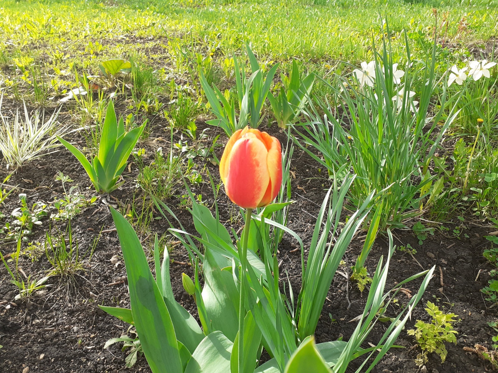 Владимира Шакиева