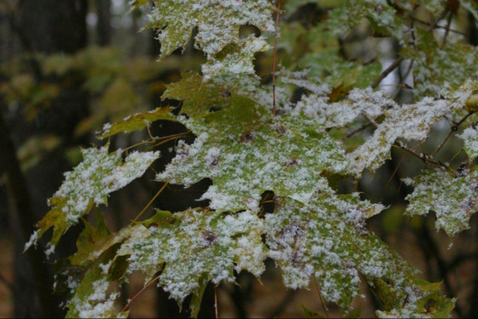 Фото ИА Башинформ.