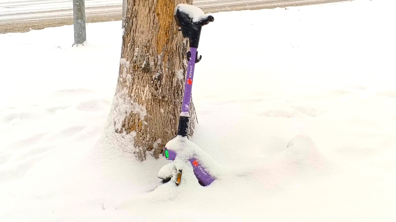 Евгении Сюткиной.