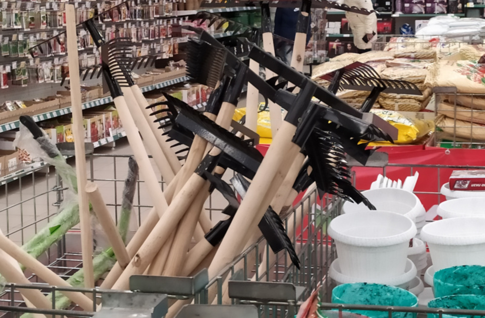 Фото Васили Саитовой.