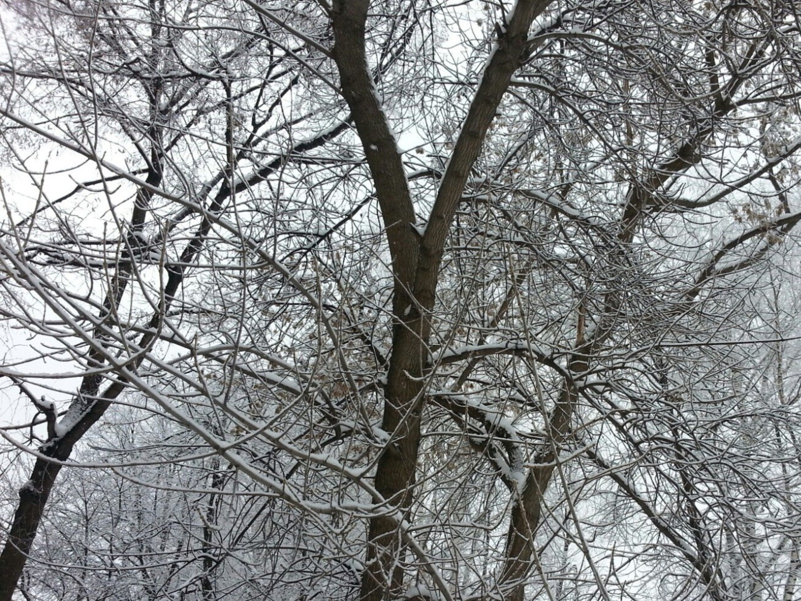 Дарьи Святохиной.