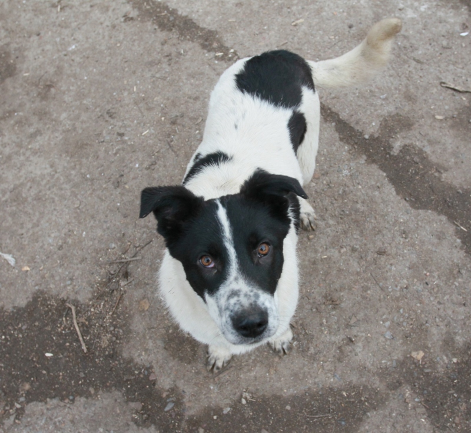 Фото Олега Яровикова.