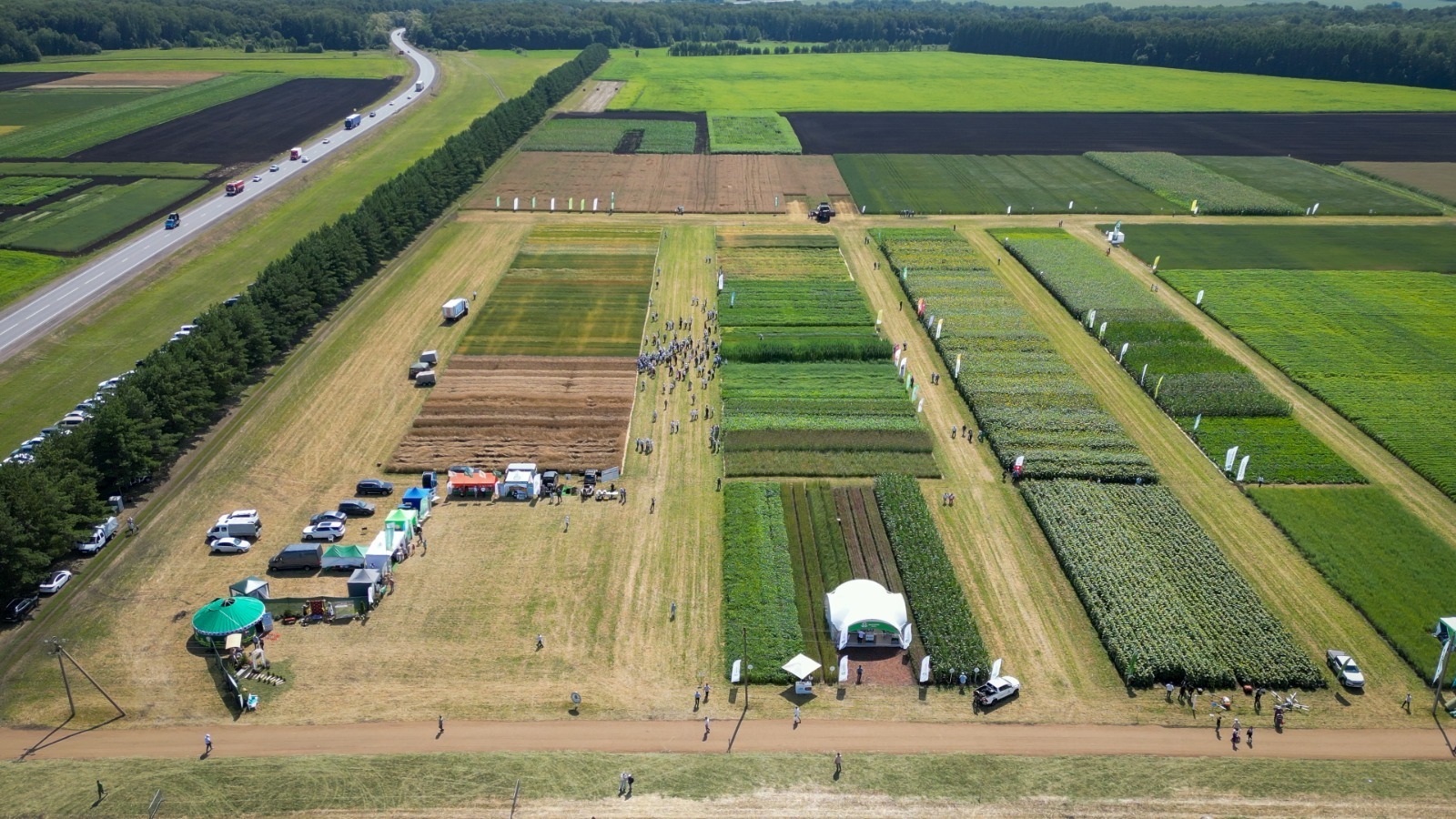 c сайта https://pravitelstvorb.ru.