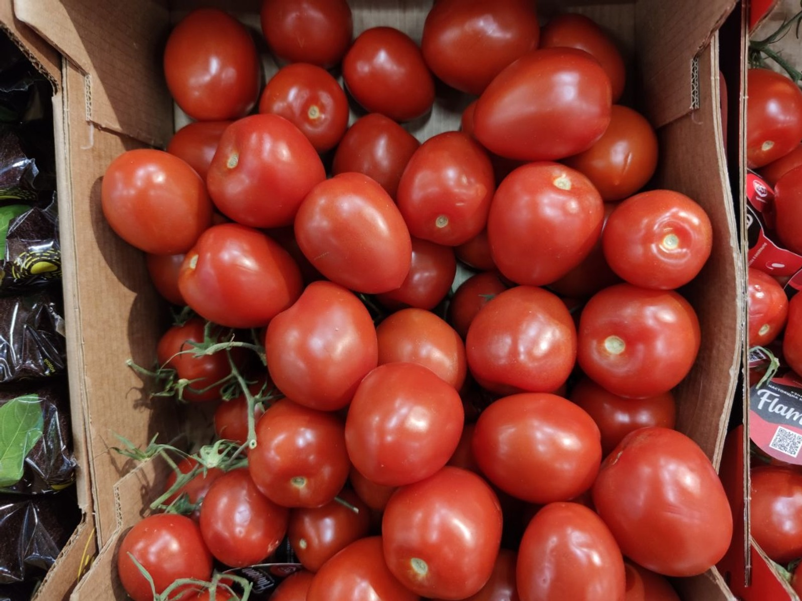 Дарьи Святохиной. «Общественная электронная газета».