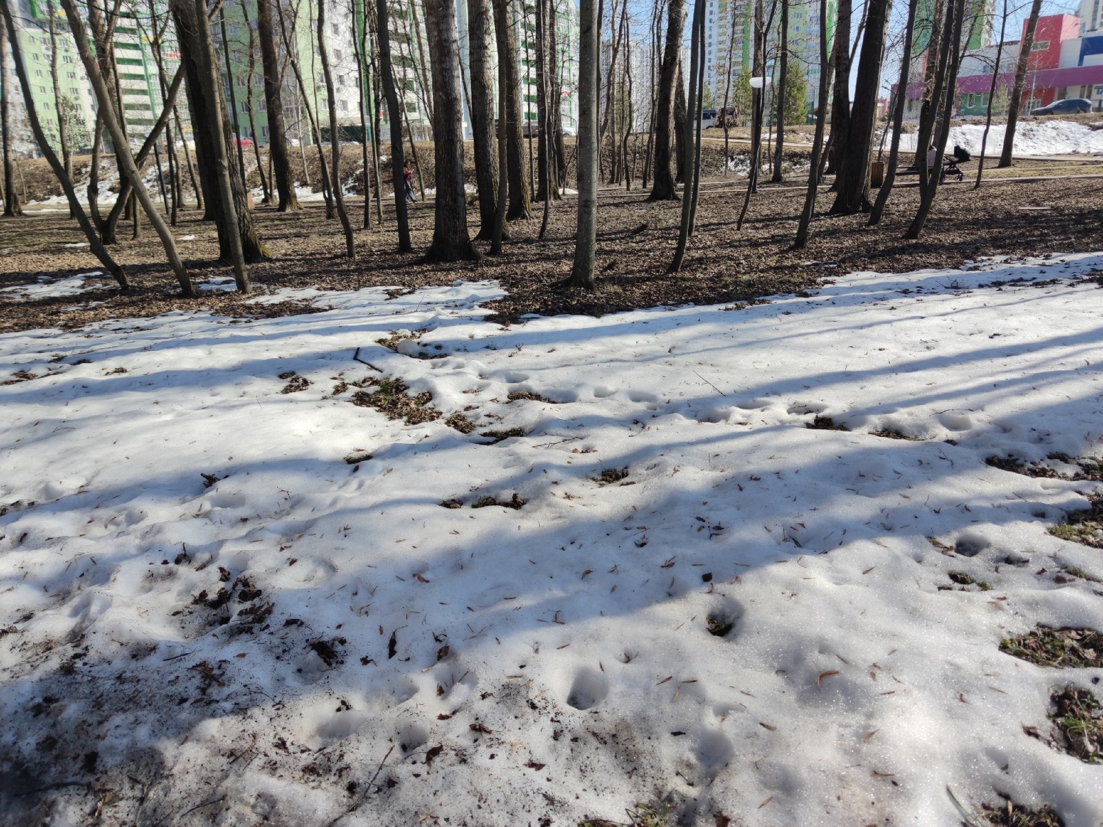 Дарьи Святохиной. «Общественная электронная газета».