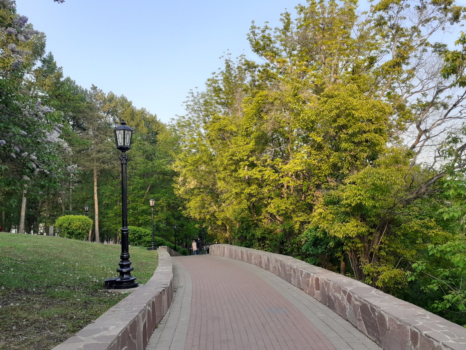 Владимира Шакиева.