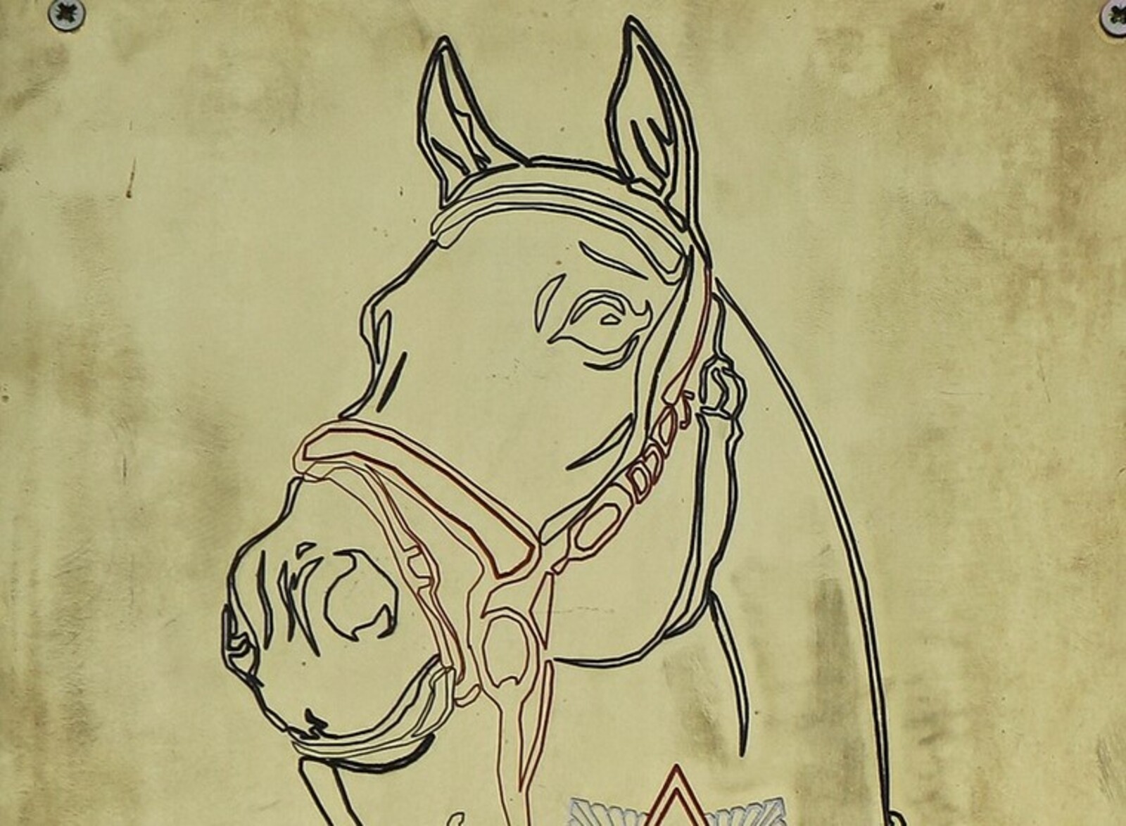 Фото Фарида Гильмиярова.