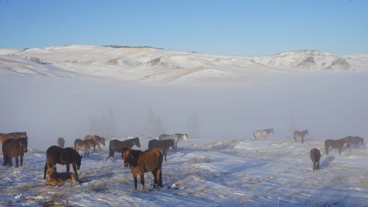 c личной страницы Радия Хабирова в соцсети. c личной страницы Радия Хабирова в соцсети.