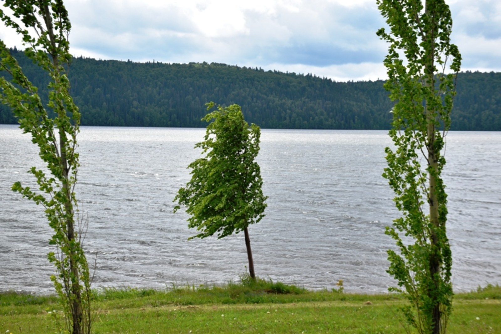 Фото автора.