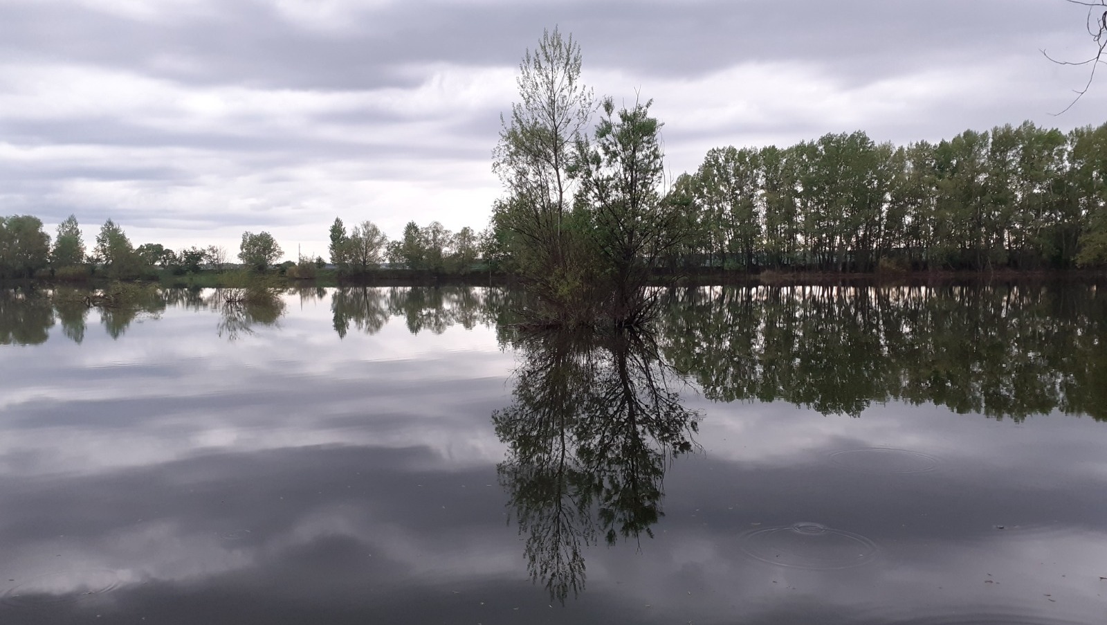 Владимира Шакиева.