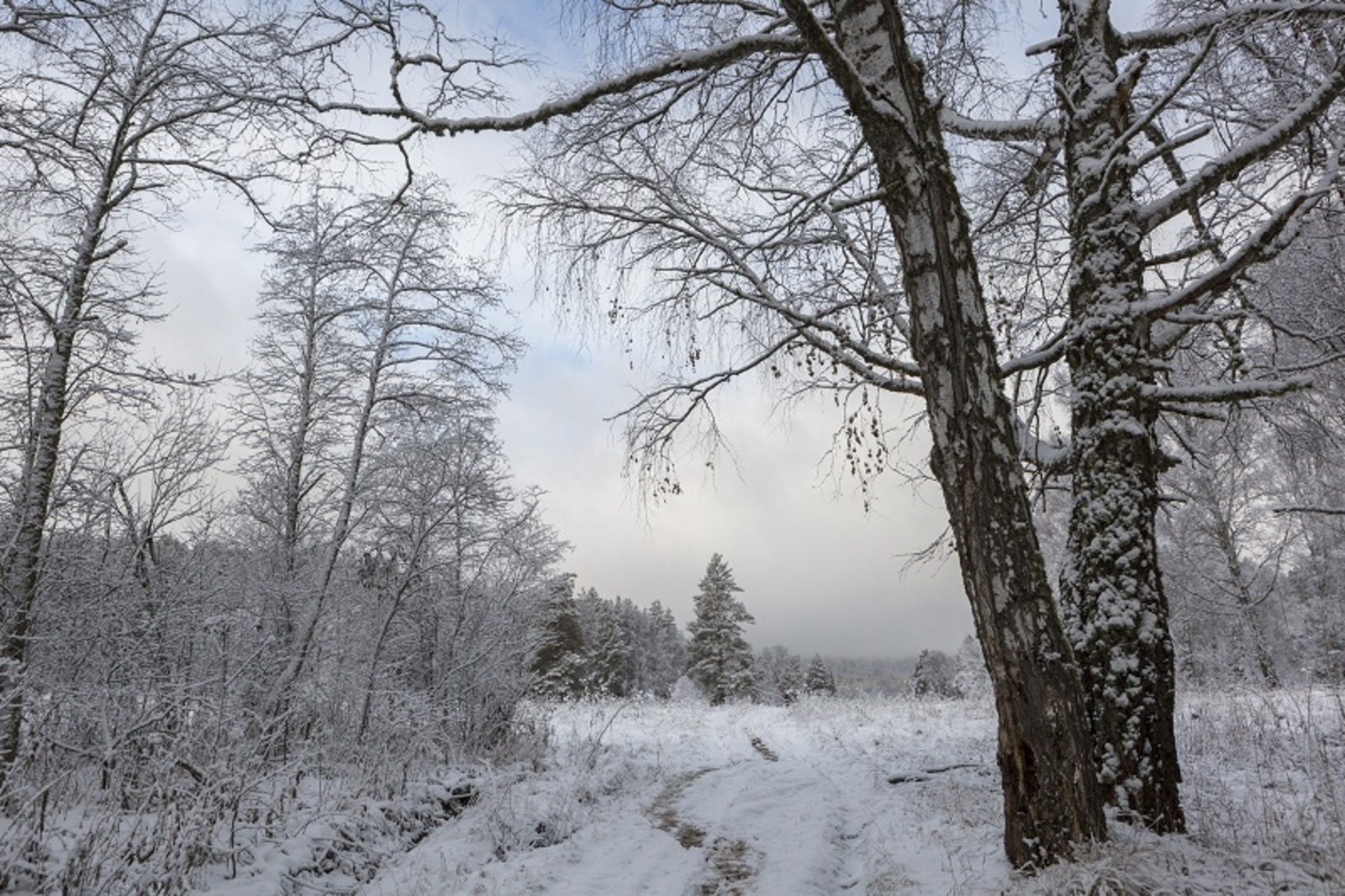 Фото Фаиля Абсатарова.
