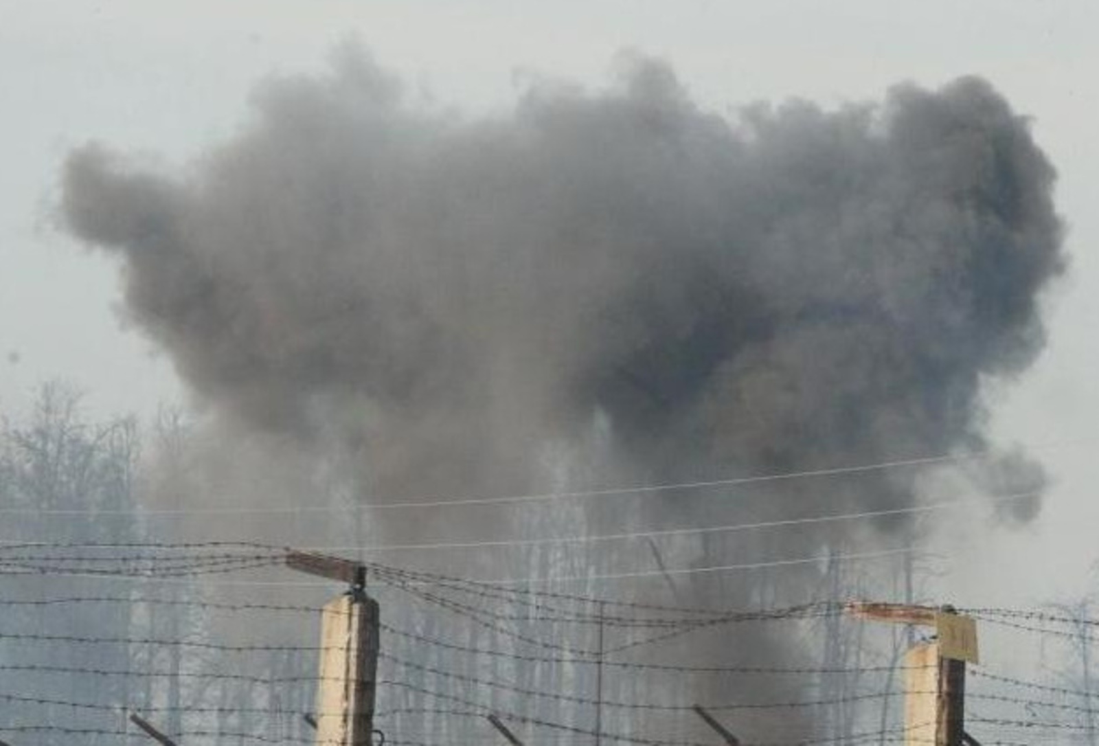 Фото Олега Яровикова.