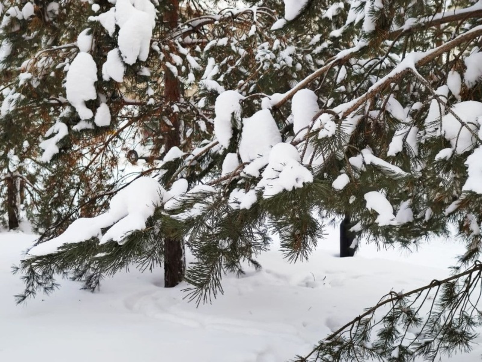 Дарьи Святохиной.