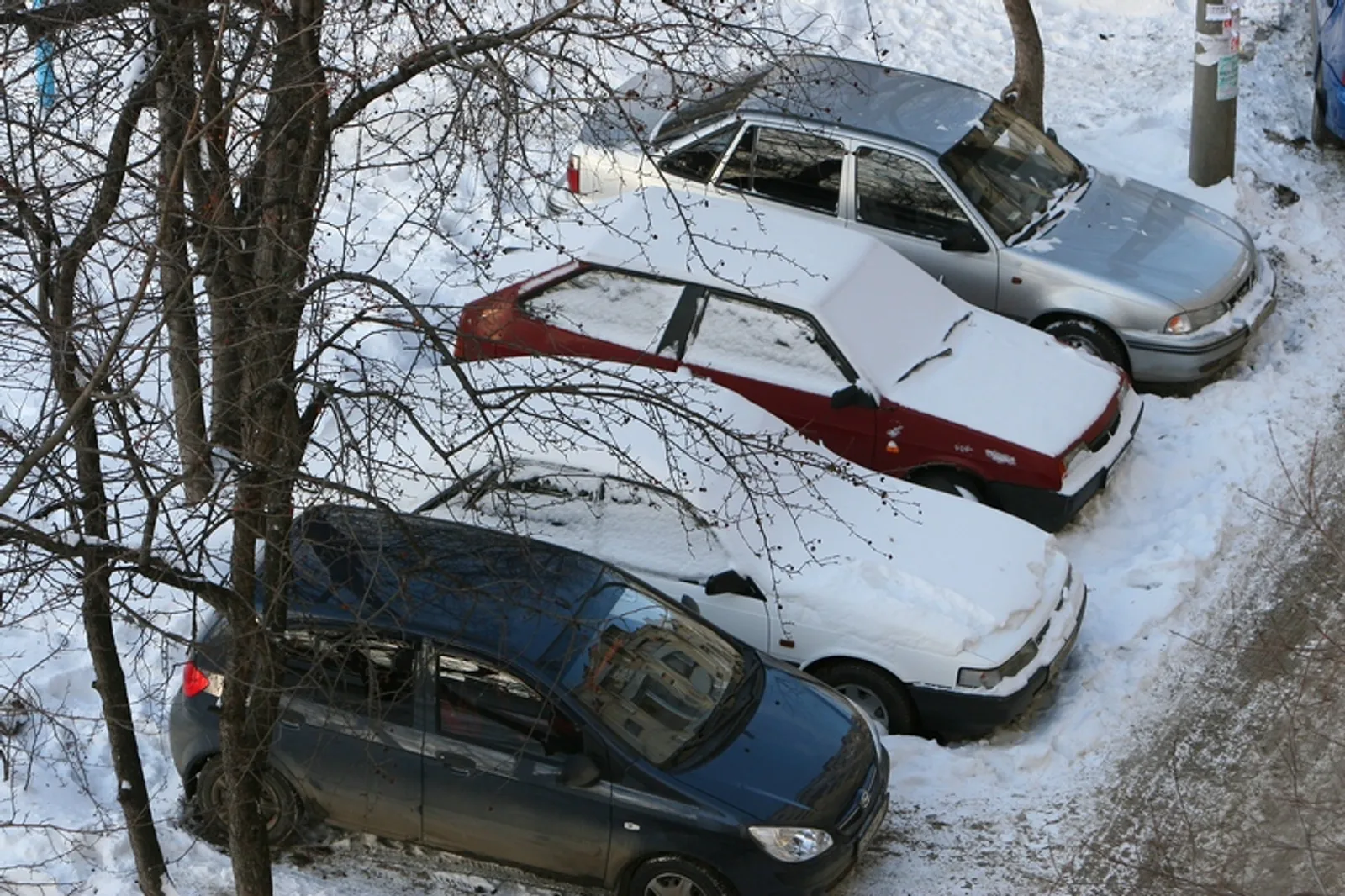 Фото Андрея Старостина.