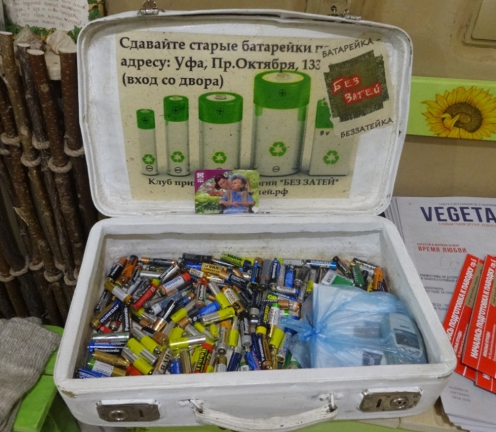 Фото автора.