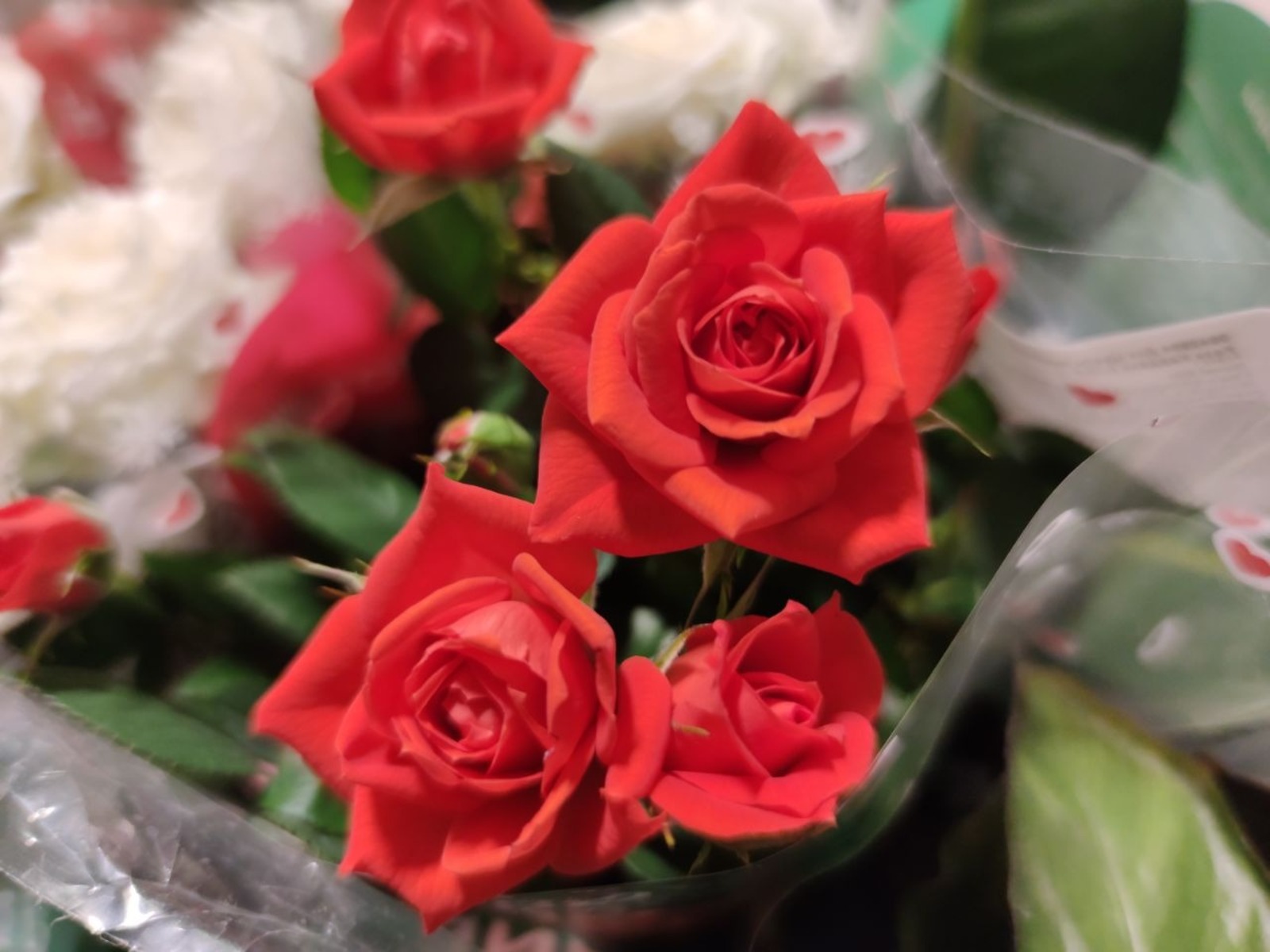 Дарьи Святохиной. «Общественная электронная газета».