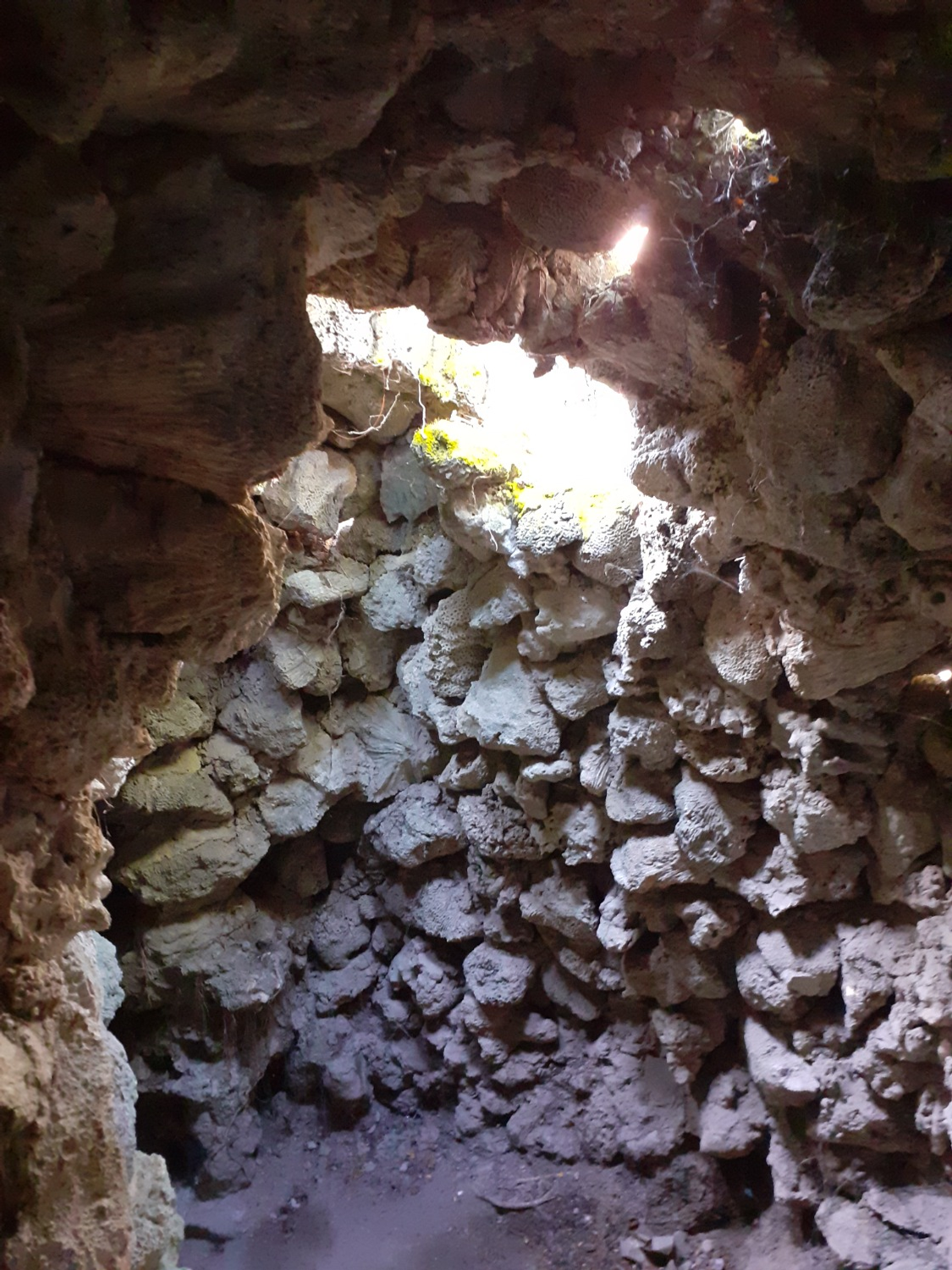 Владимира Шакиева. «Общественная электронная газета».