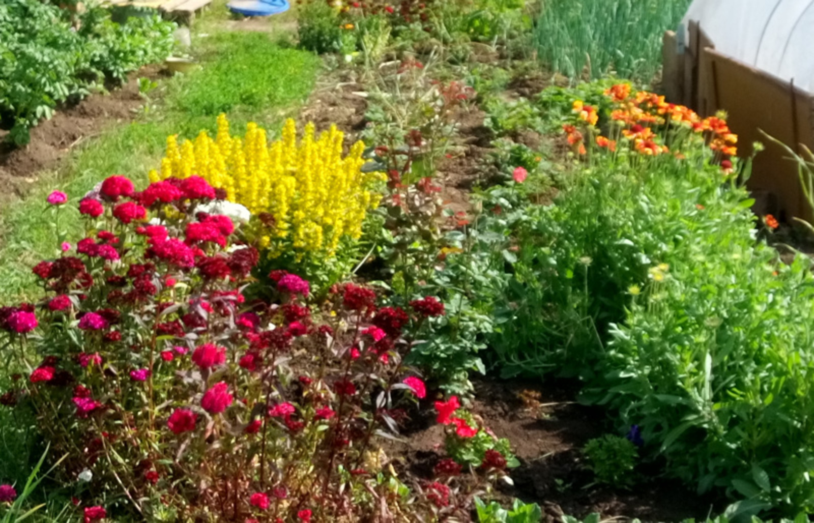 Фото Васили Саитовой.