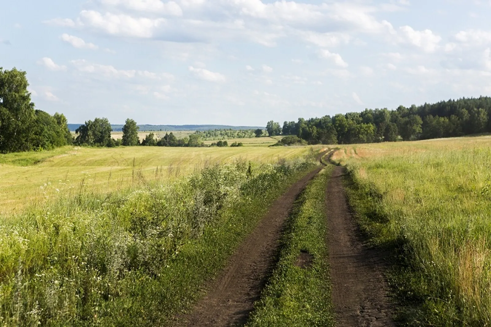 Фото Фаиля Абсатарова.