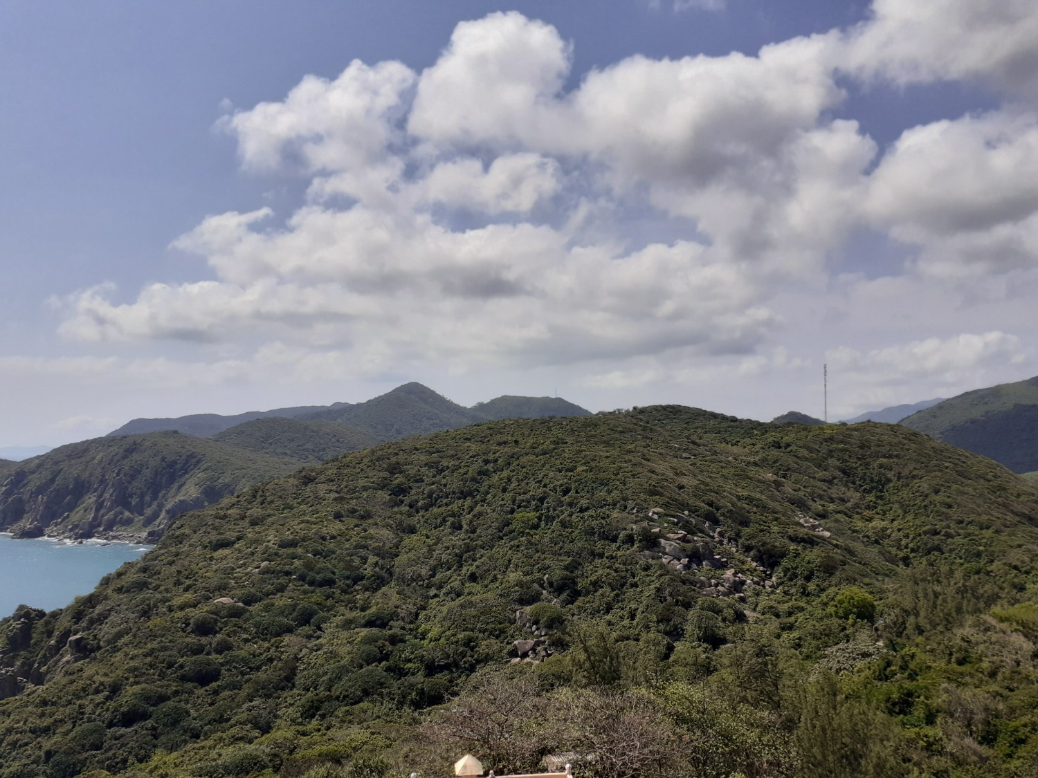 Владимира Шакиева. «Общественная электронная газета».