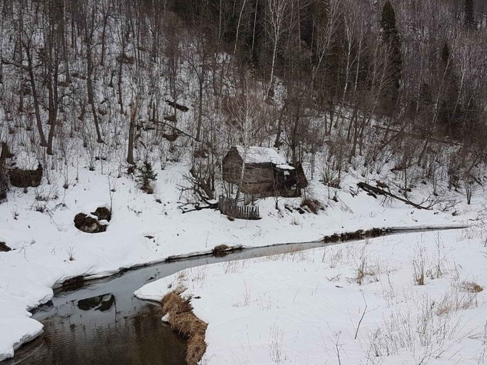 Фото автора.