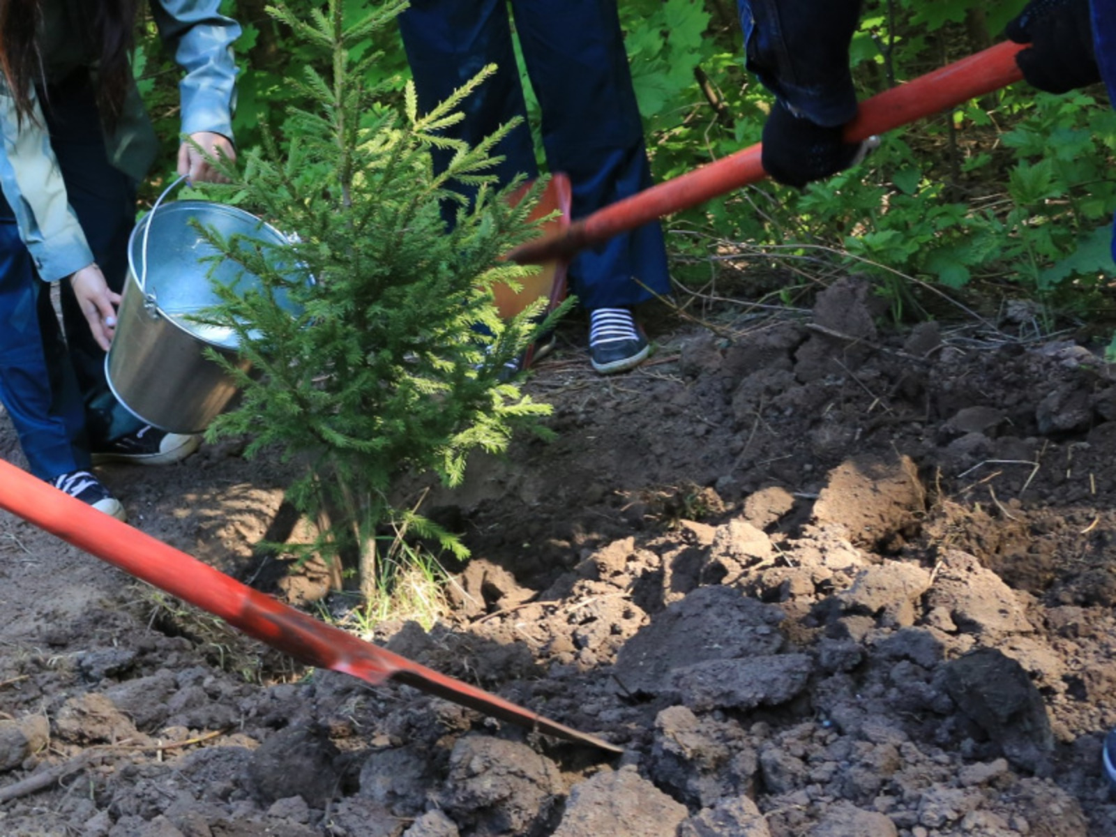 Фото Андрея Старостина.
