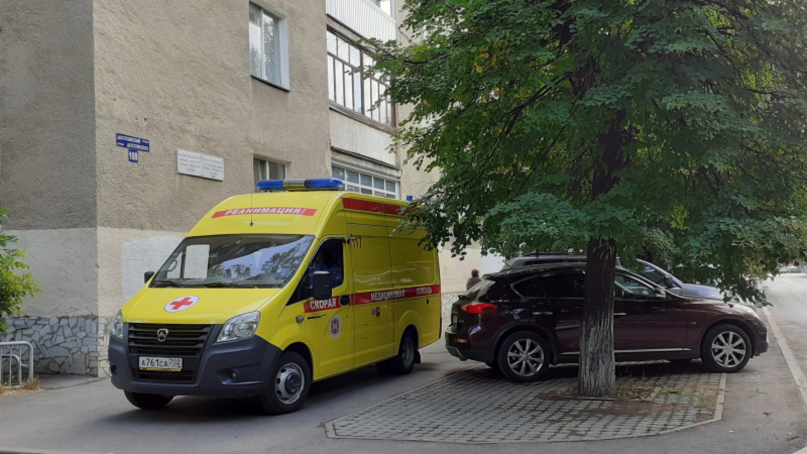 Фото автора.