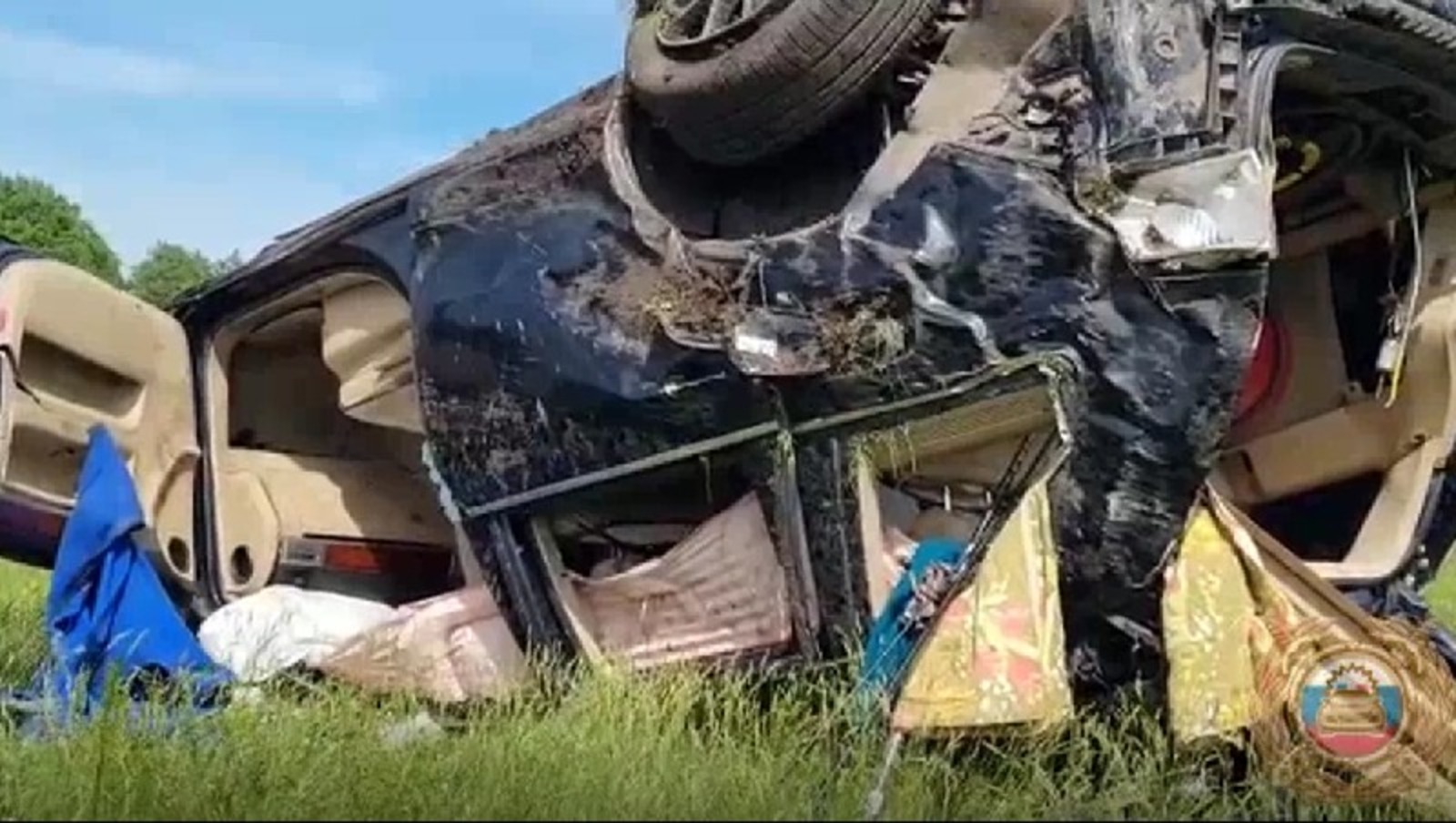 скрин видео.