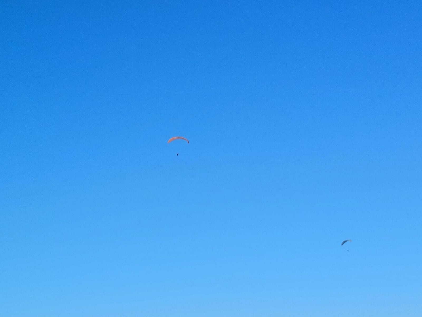 Васили Саитовой. "Общественная электронная газета".