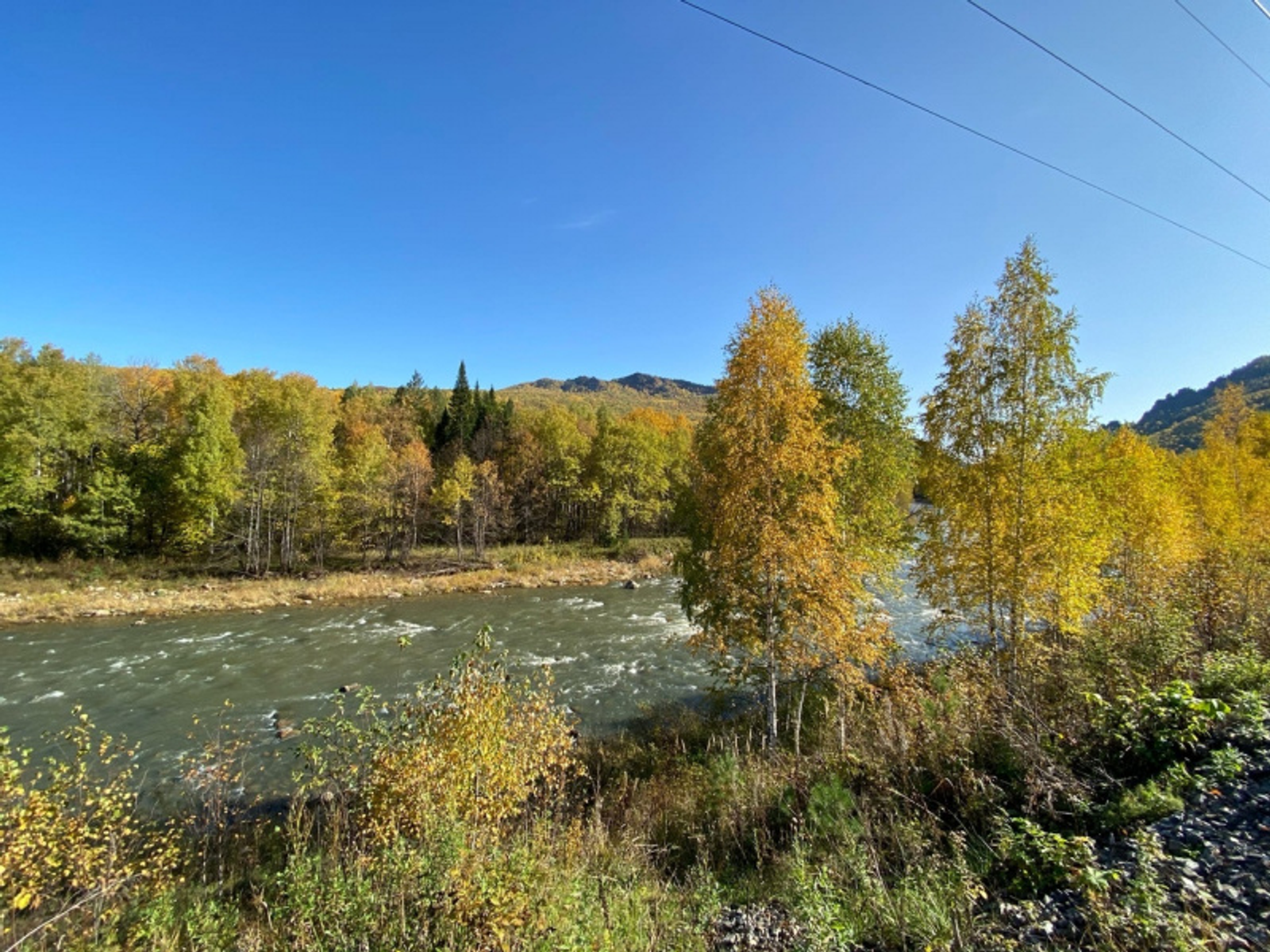 Фото автора.