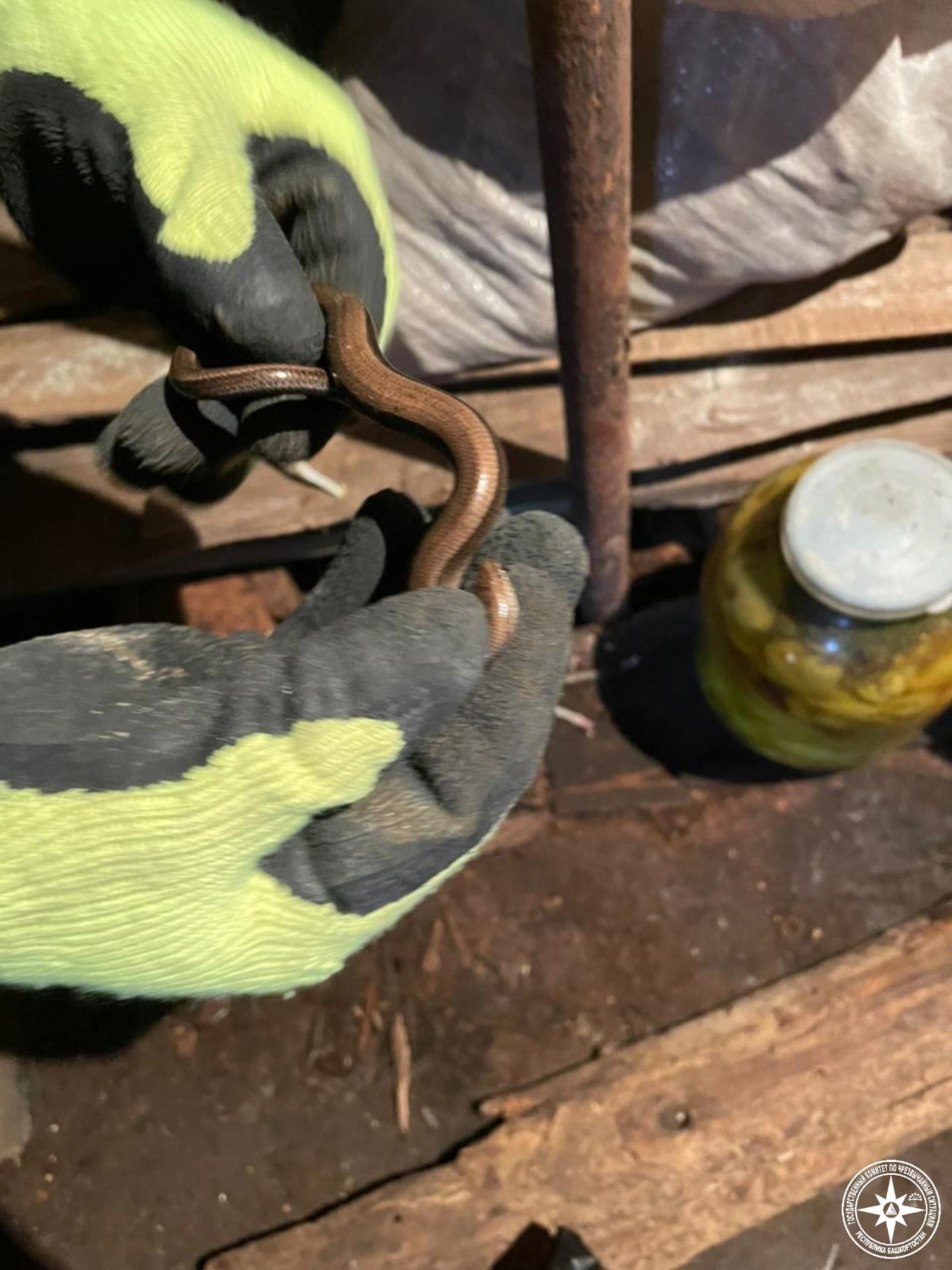 Госкомитет РБ по ЧС.