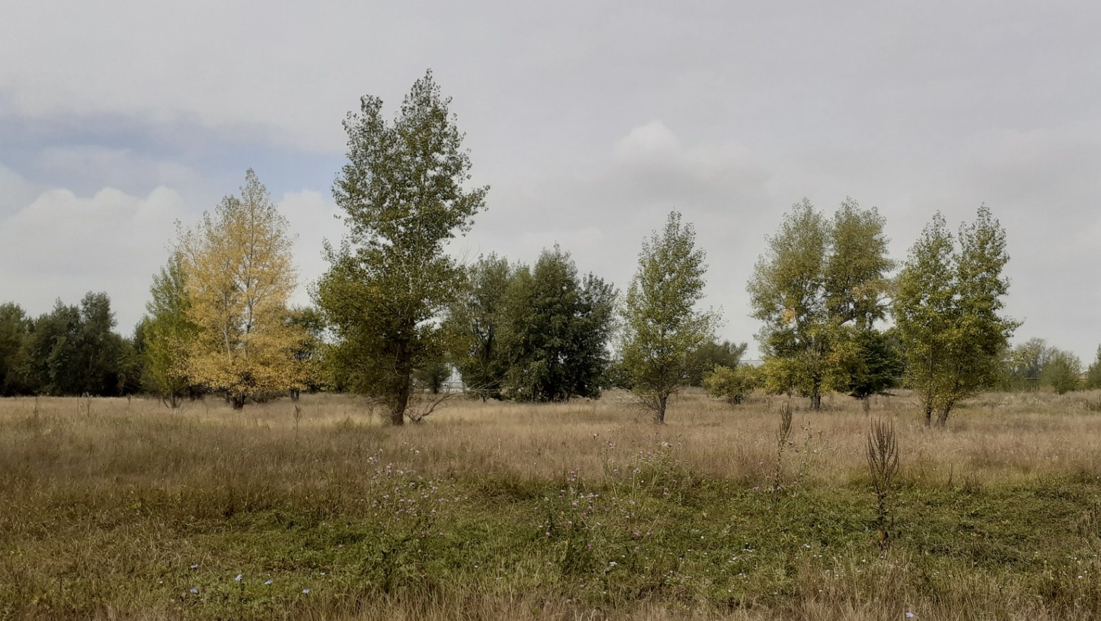 Владимира Шакиева.