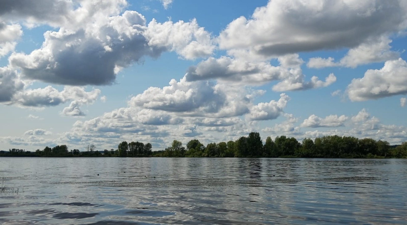 Евгении Сюткиной.