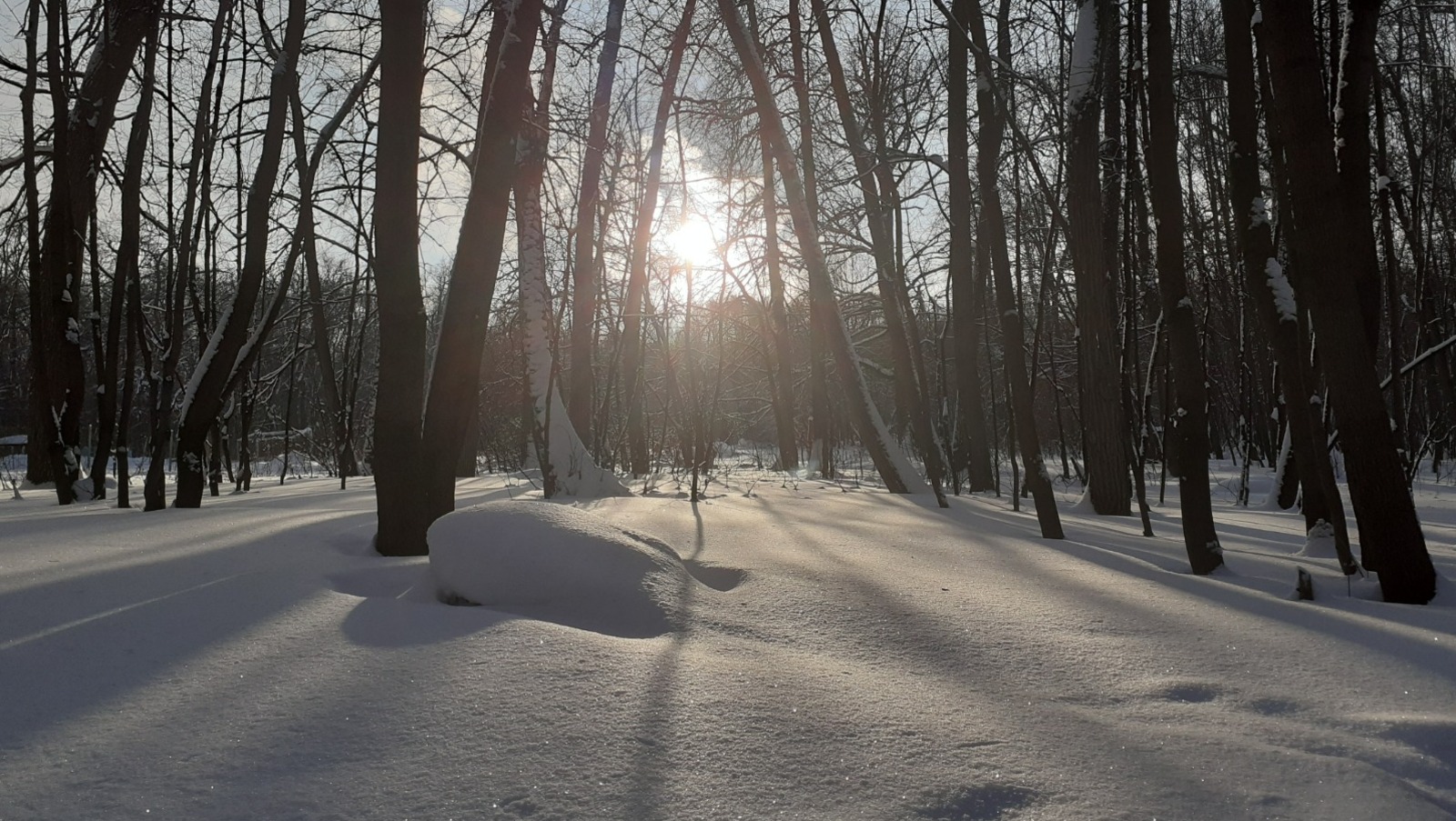 Владимира Шакиева. «Общественная электронная газета».