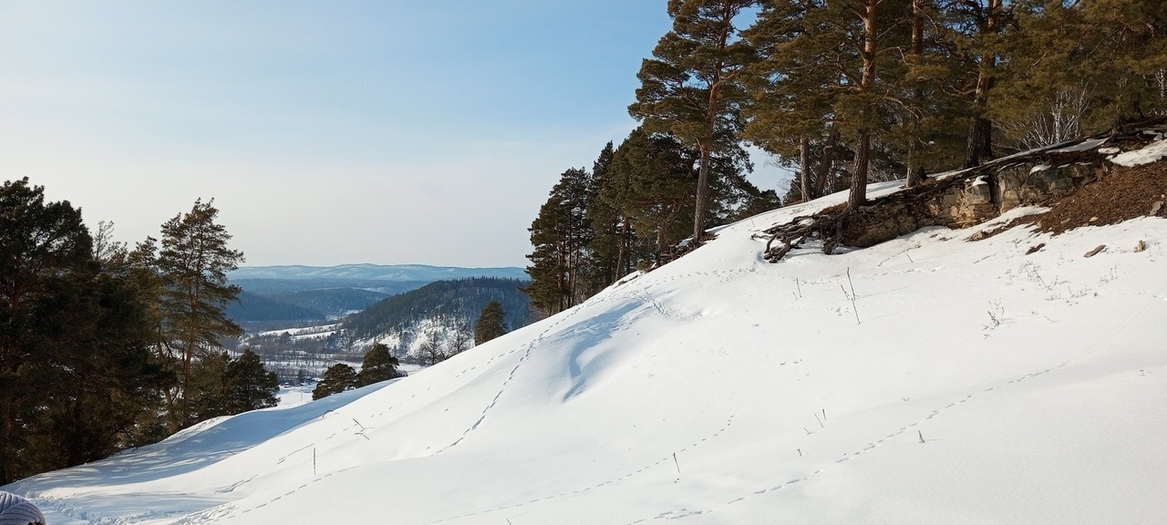 Евгении Сюткиной.