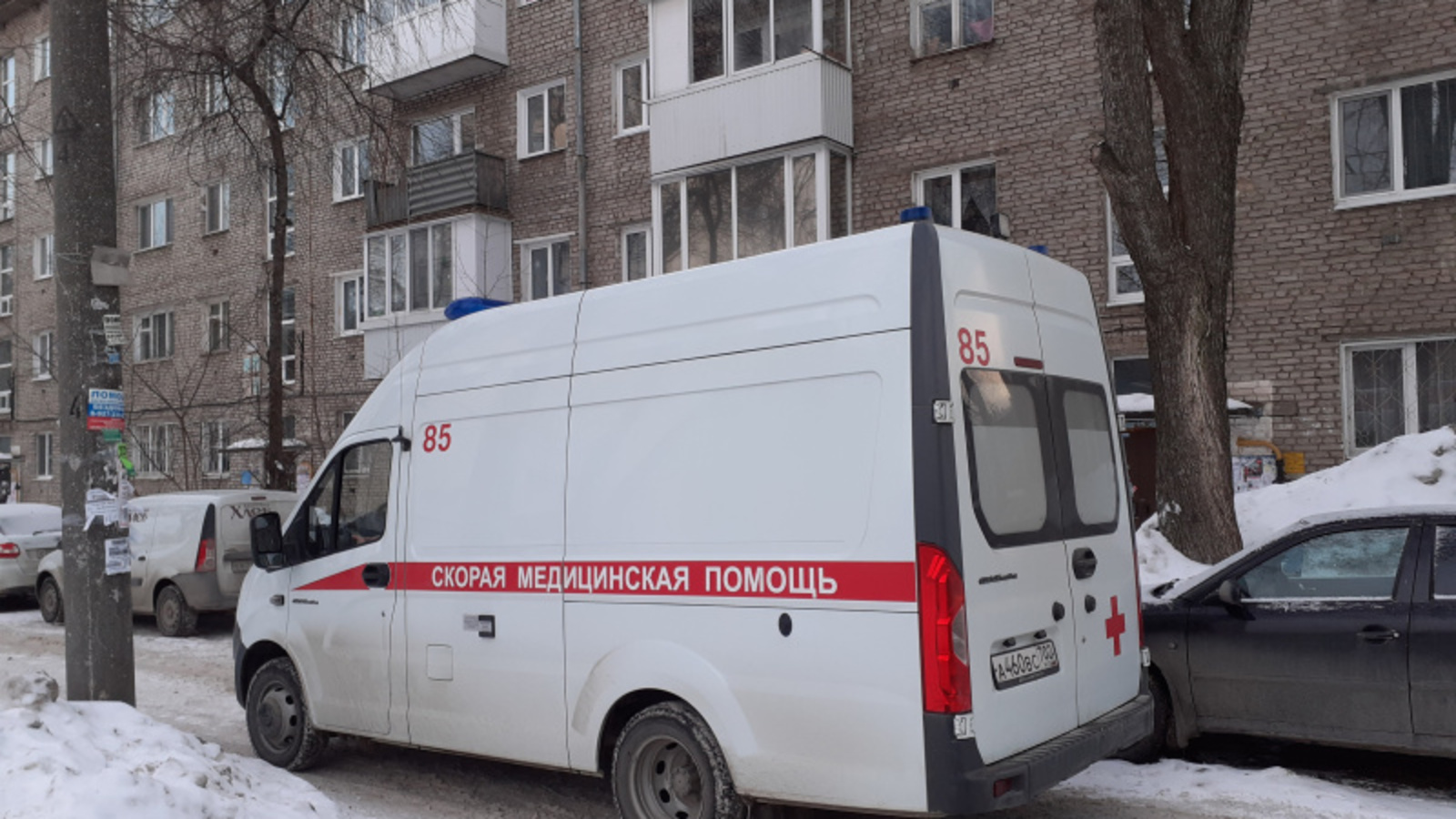 Фото автора.