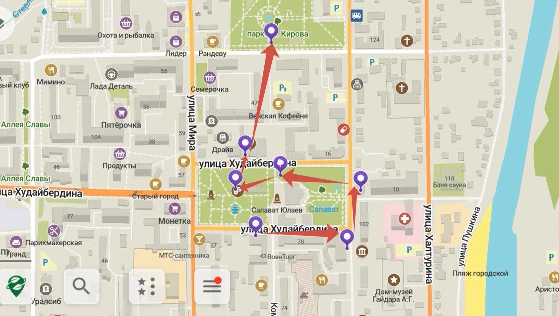 Елены Колоколовой.  "Общественная электронная газета". Где расположены гуси в Стерлитамаке.